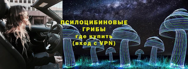 СК Абинск