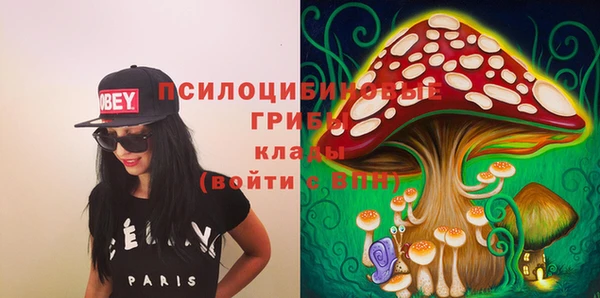 молекула духа Алексеевка
