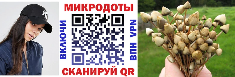даркнет сайт  Микунь  blacksprut зеркало  Псилоцибиновые грибы Magic Shrooms 